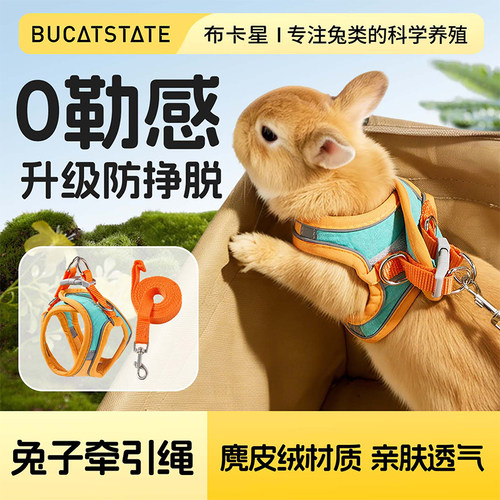 兔子牵引绳防挣脱溜兔