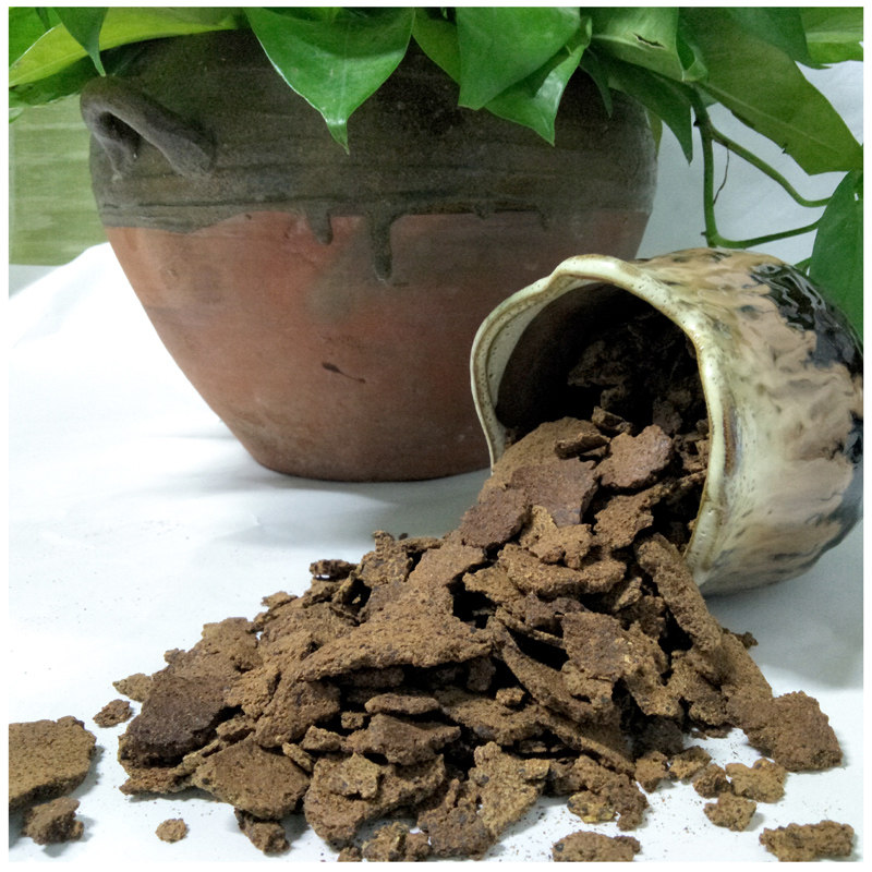 茶籽饼茶麸片块天然压榨茶枯粉洗头发茶仔渣养护发馆茶子中药原料