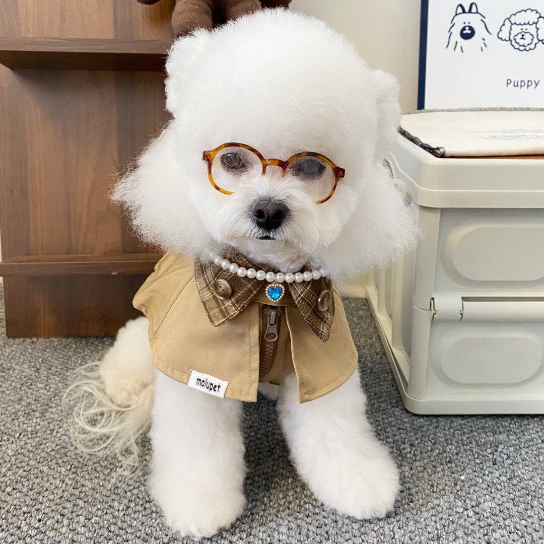 英伦风外套小型犬宠物服装小狗复狗宠物服装/雨衣