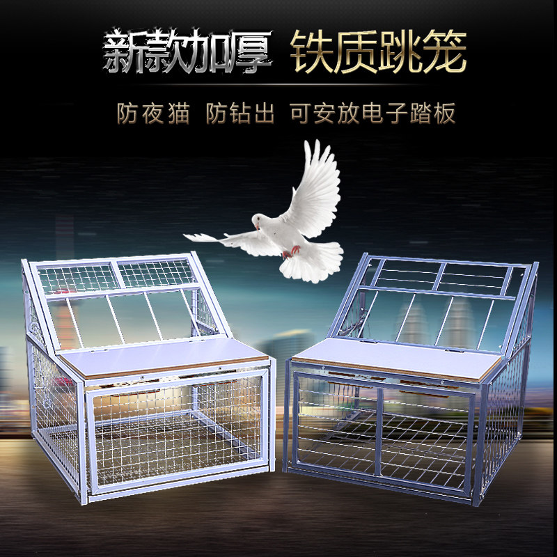 鸽子跳笼 信鸽赛鸽用品用具 鸽棚鸽舍进口 只进不出跳笼 放飞笼门