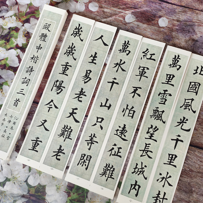 偏中楷毛笔字帖欧体近距离临摹卡初学楷书入门米字格练字书法文房四宝