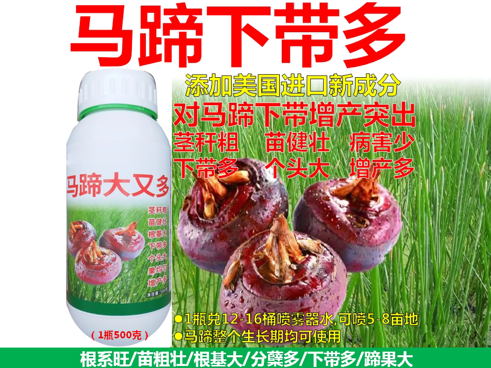 马蹄专用下带肥促带增带增加果实数量膨大果实防裂果提高产量