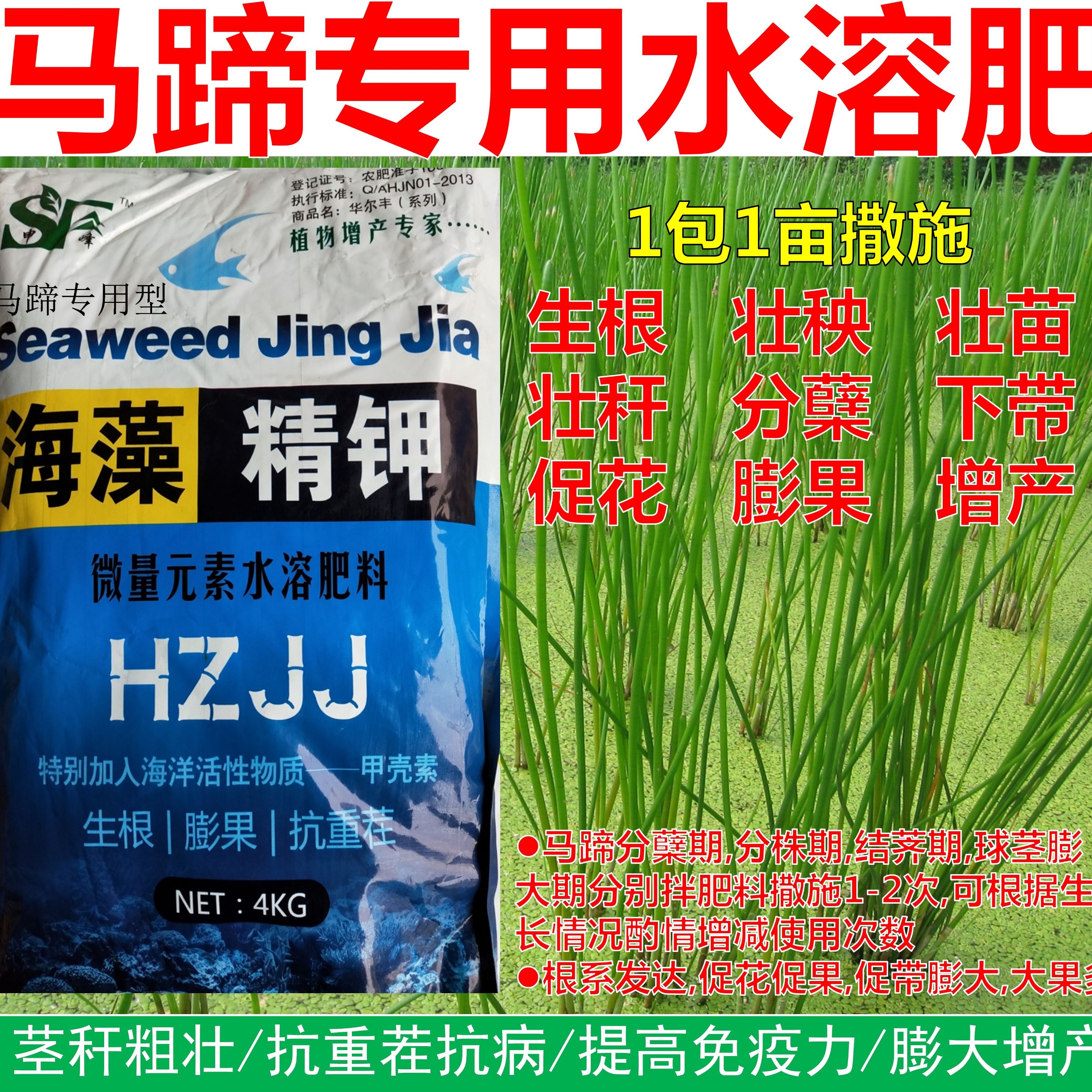 马蹄膨大精钾肥促分蘖控上促下带块茎膨大增加甜度增产增收4公斤