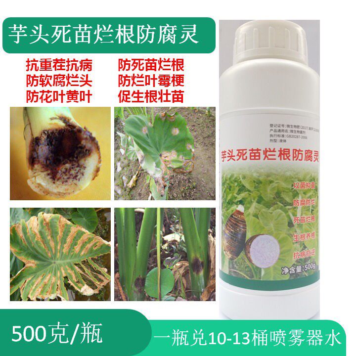 芋病特灵芋头专用药烂叶烂梗软腐黄叶死苗烂根防腐灵以菌制菌包邮