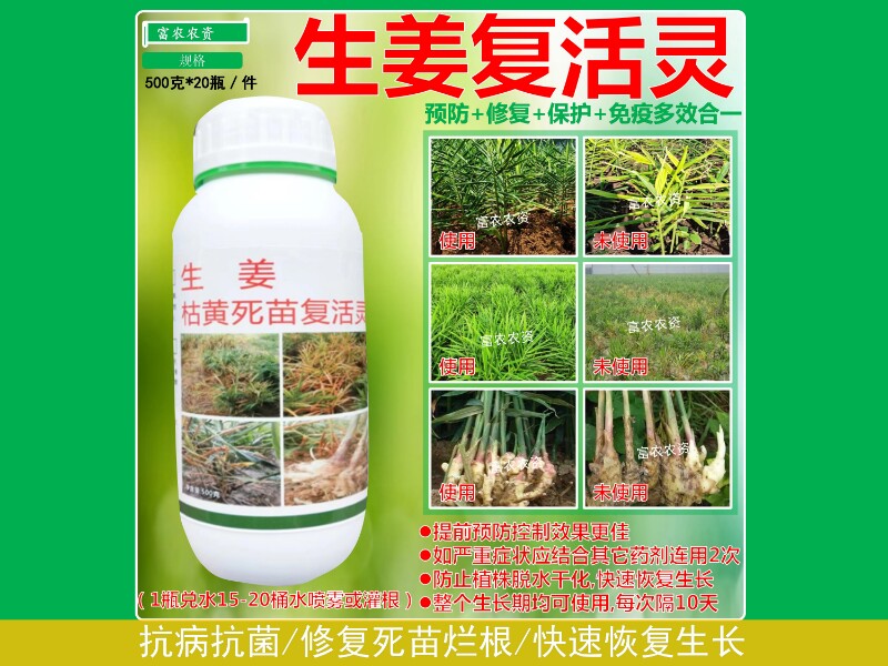 生姜专用药枯黄死苗复活灵特效防控姜瘟烂脖子枯萎根腐茎基腐黄叶