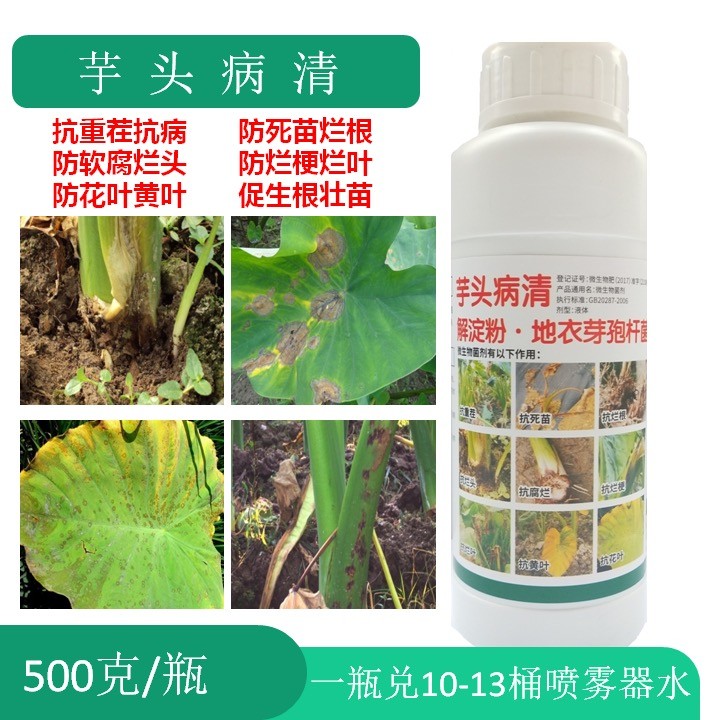芋头专用药芋头病清根腐软腐病烂叶烂梗黄叶死苗一喷绿一并500克
