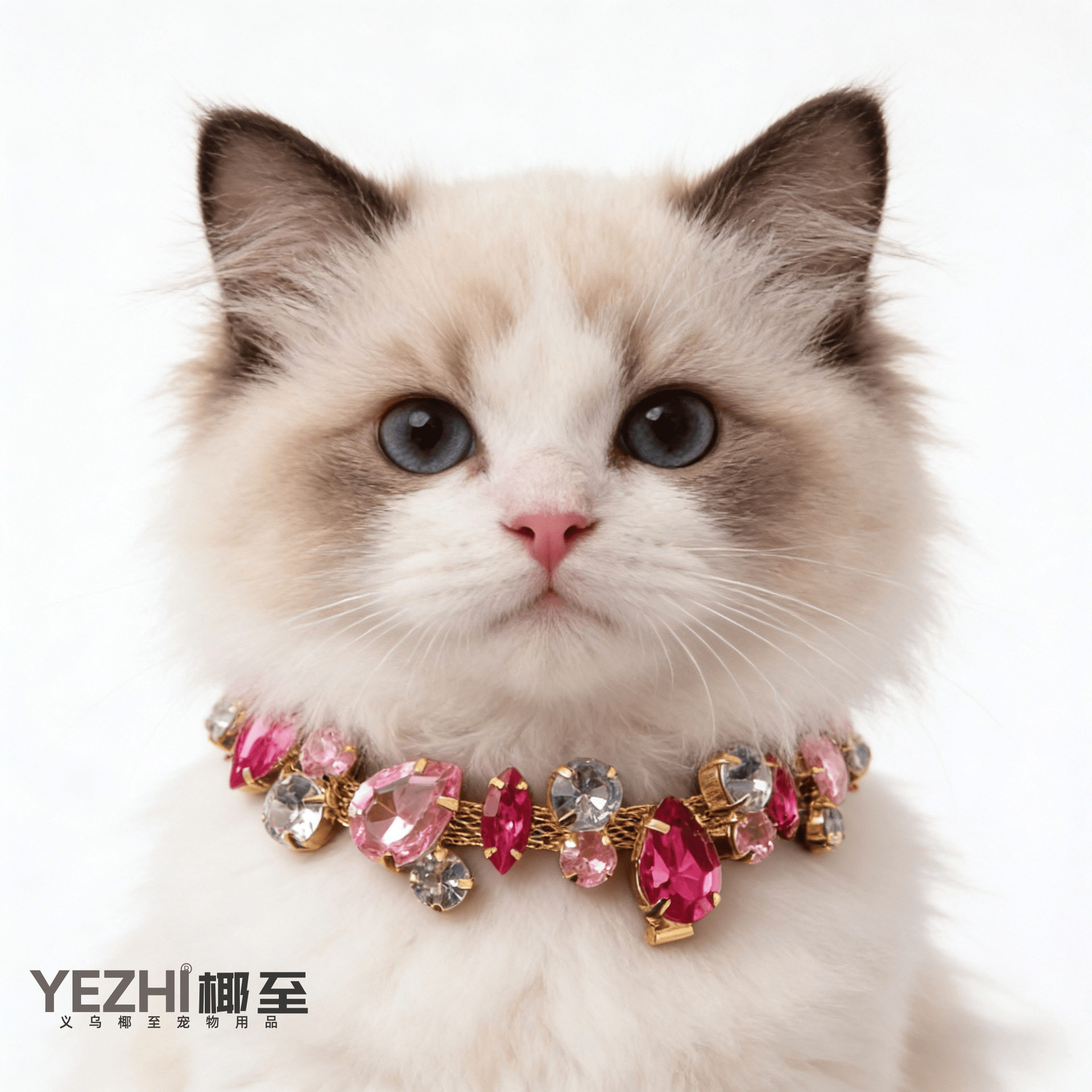 现货宠物满钻水晶项圈猫狗宝石项链爆款宠物配饰
