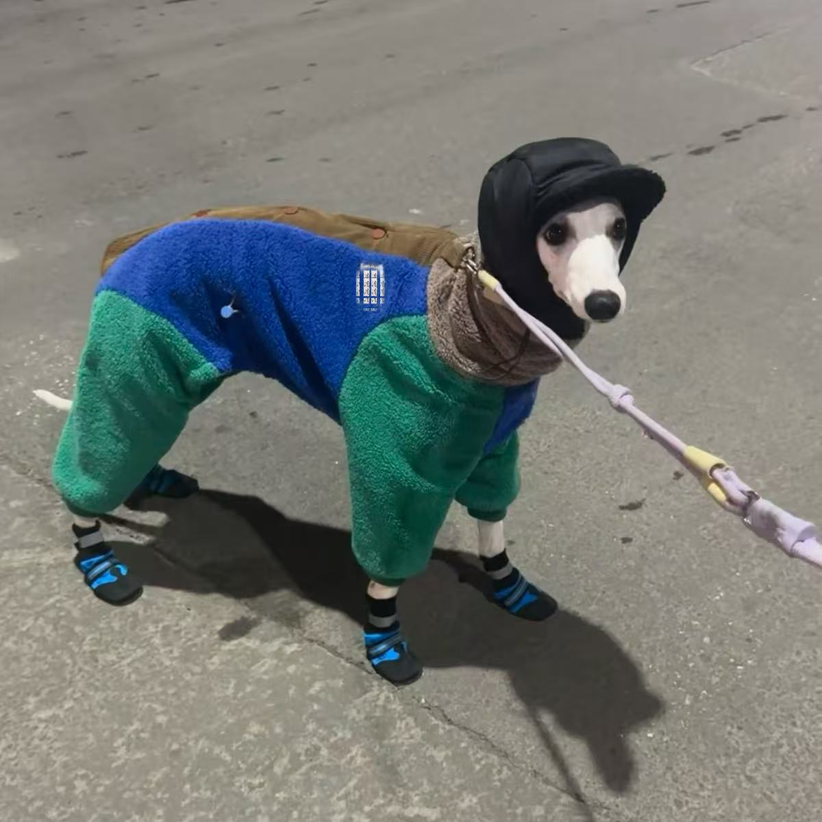 冬季御寒双面绒四脚衣加绒保暖小灵缇惠比特贝灵顿梗犬衣服