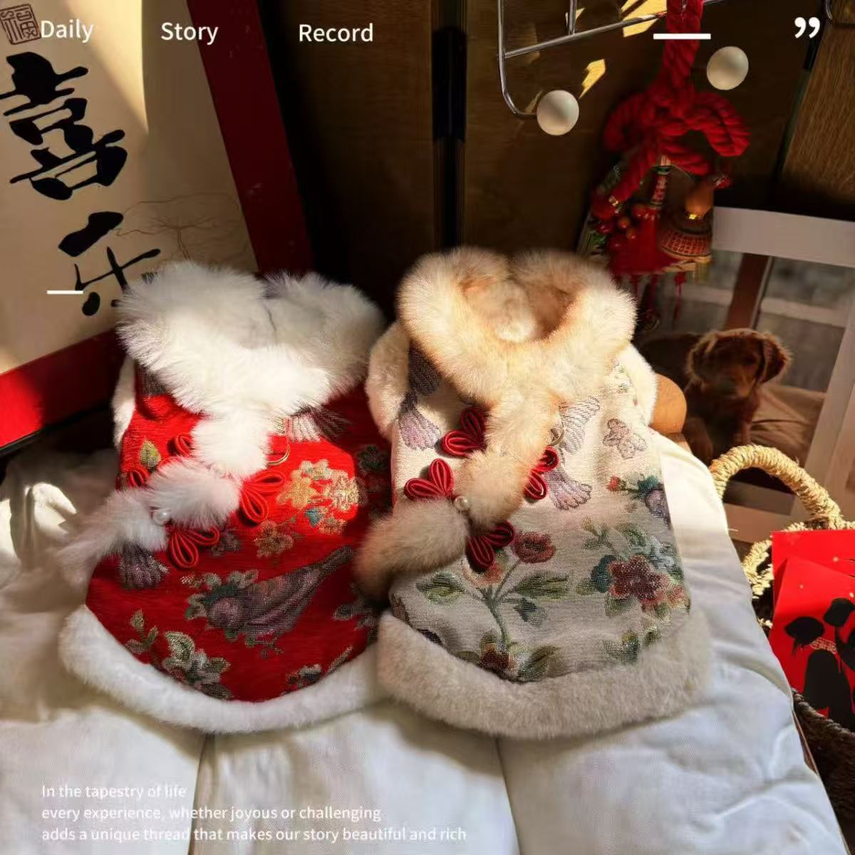 国风复古绣花宠物新年衣服中式牵引棉服比熊小狗狗拜年服