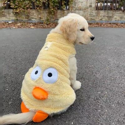 狗狗衣服拉布拉多萨摩耶宠物大狗秋冬保暖中大型犬边牧金毛背心