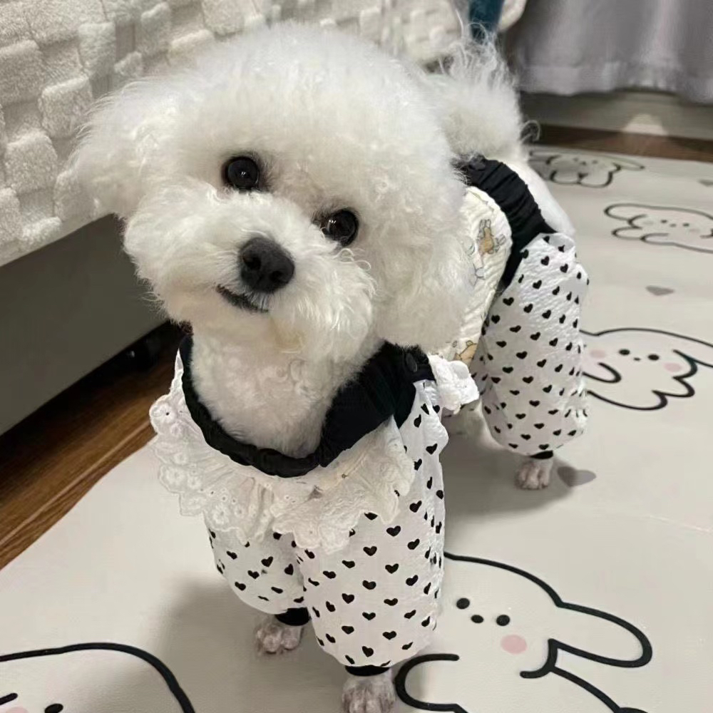 狗狗防尘裤遛弯裤春夏防脏防虫轻薄四脚裤腿套护腿小型犬春夏衣服