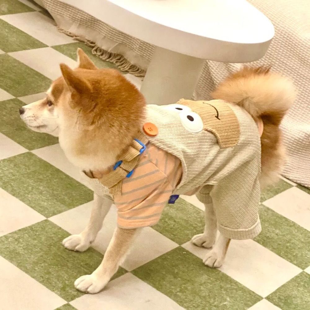 柯基背带裤巴哥四脚衣宠物狗狗小青蛙背带裤连体服秋冬衣服