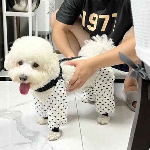 狗狗防尘裤四脚狗狗遛弯宠物防尘裤防脏虫轻薄护腿小型犬春夏衣服 - 封面