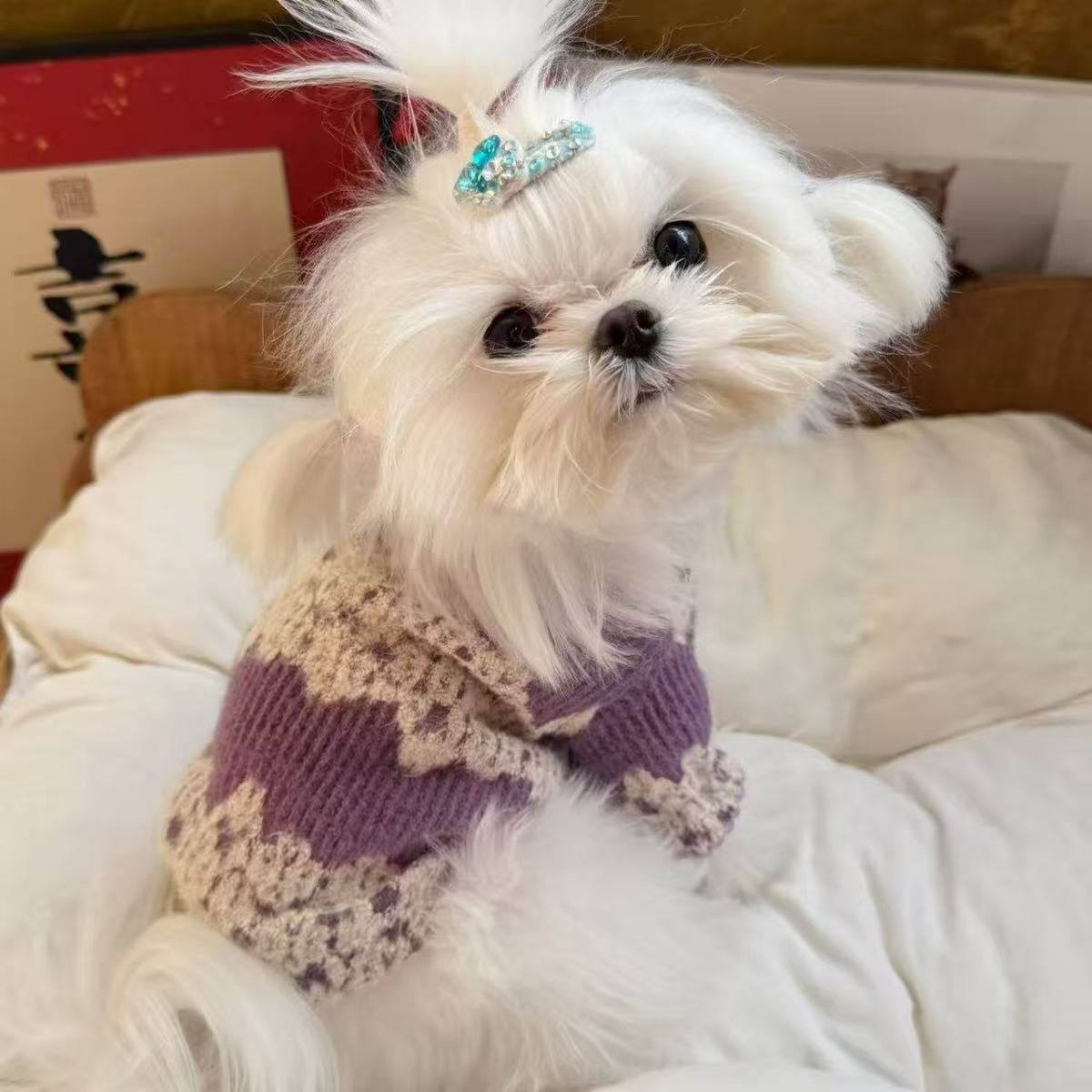 宠物猫咪秋冬秋冬装狗狗衣服毛衣小型泰迪比熊保暖博美可爱雪纳瑞