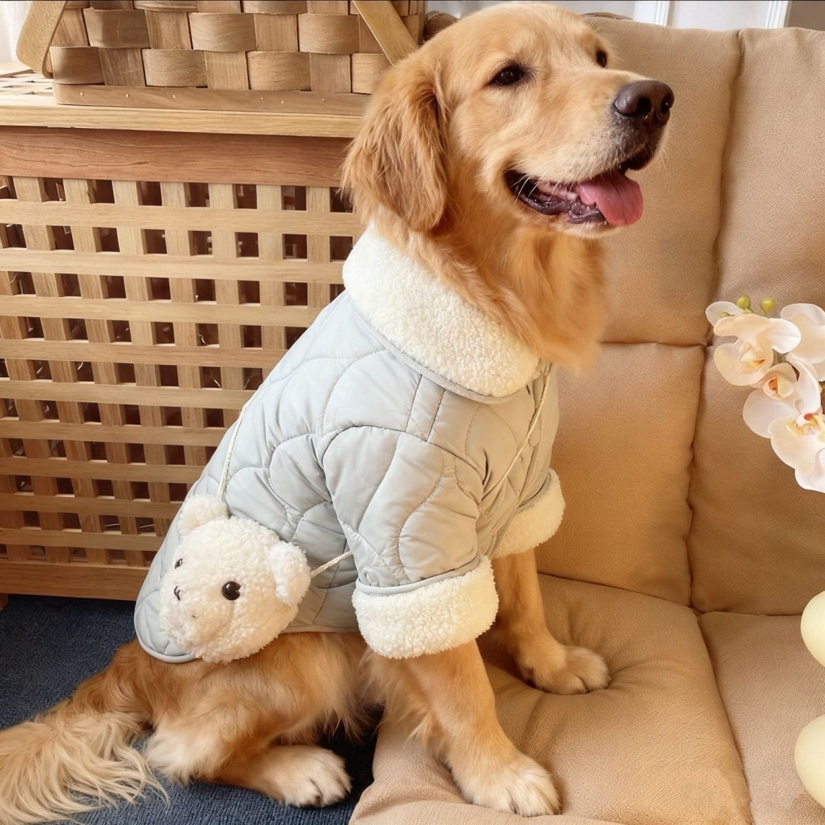 狗狗秋冬新款加厚保暖棉服大型犬衣服可爱拉布拉多金毛萨摩耶边牧