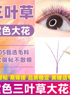 紫色大花三叶草嫁接睫毛超软毛不散根0.05C翘彩色y型yy美睫店专用