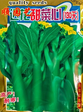 迟花甜菜心种子晚熟130天油菜心种籽菜园盆栽秋冬季耐寒蔬菜种孑