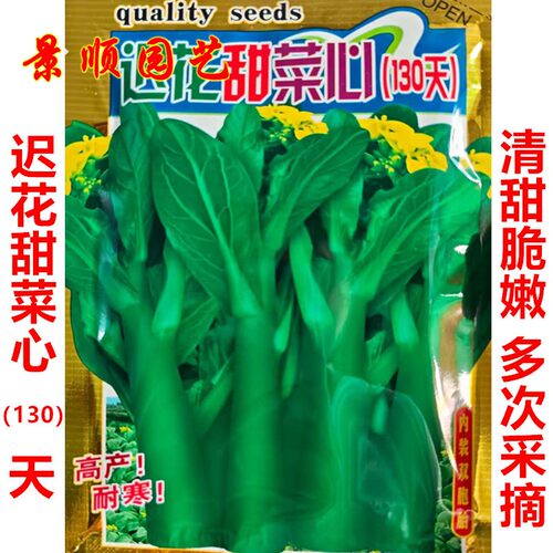 迟花甜菜心种子晚熟130天油菜心种籽菜园盆栽秋冬季耐寒蔬菜种孑