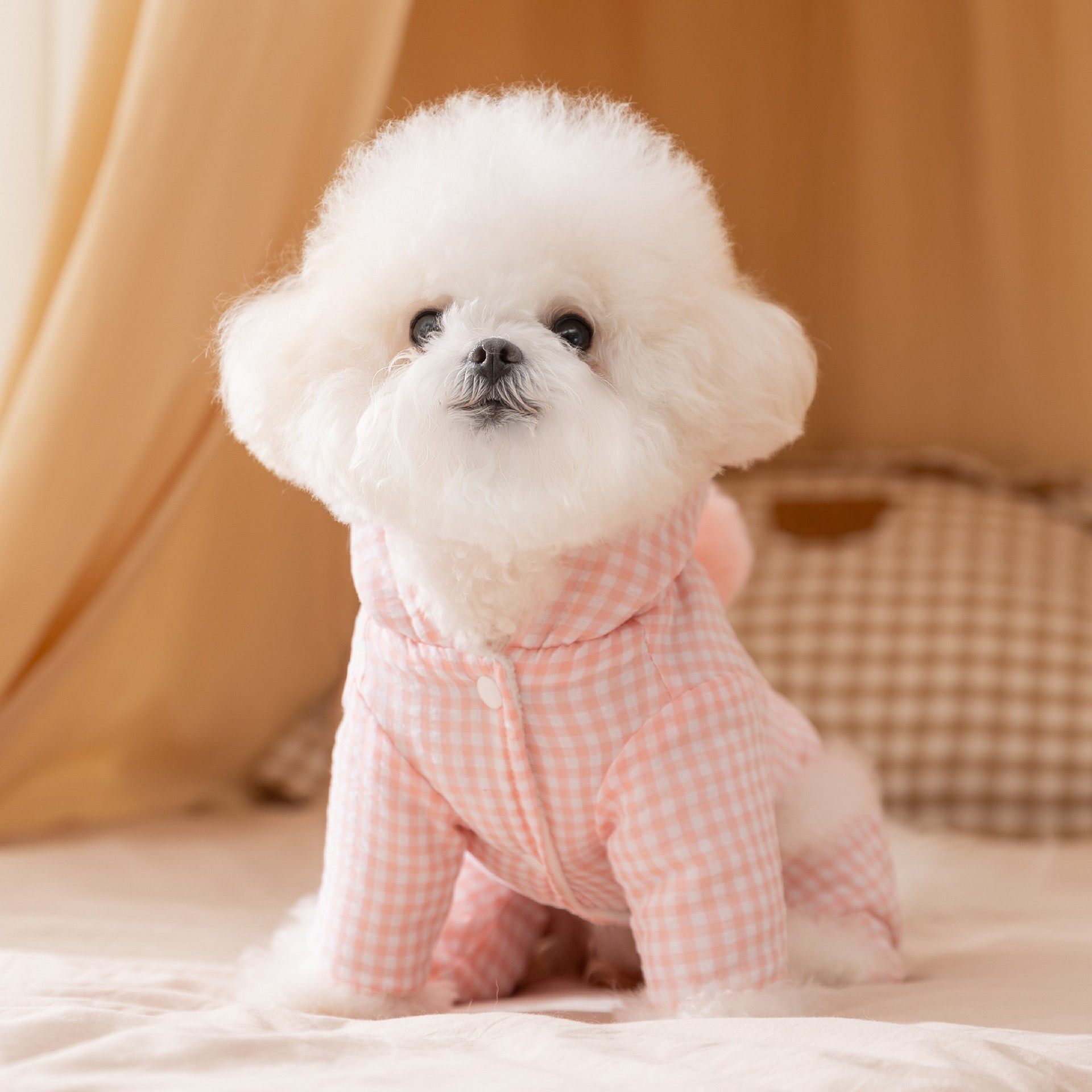 韩版狗狗衣服宠物衣服秋冬季泰迪比熊小型犬猫咪四脚纯色格纹棉衣,宠物/宠物食品及用品,狗宠物服装/雨衣,淘宝优惠券,粉丝福利购,淘宝优惠卷