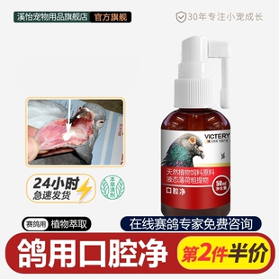 汉诺威口腔净上下呼吸道鸽子口黄白点信鸽专用品大全