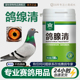 鸽腺清甩拉吐沙门氏菌拉稀水绿白便赛信鸽子清鸽大全常见问题