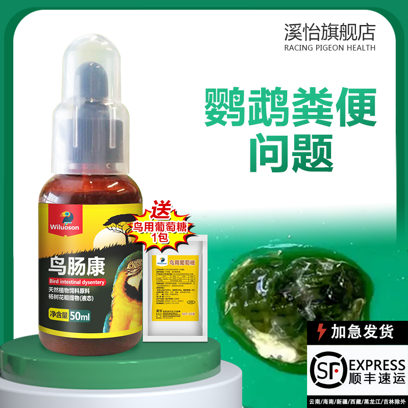 鹦鹉鸟肠康护肠胃益生菌非药品