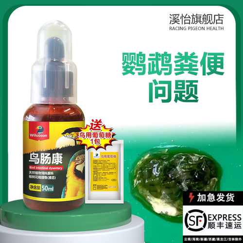 鹦鹉鸟肠康护肠胃益生菌非药品