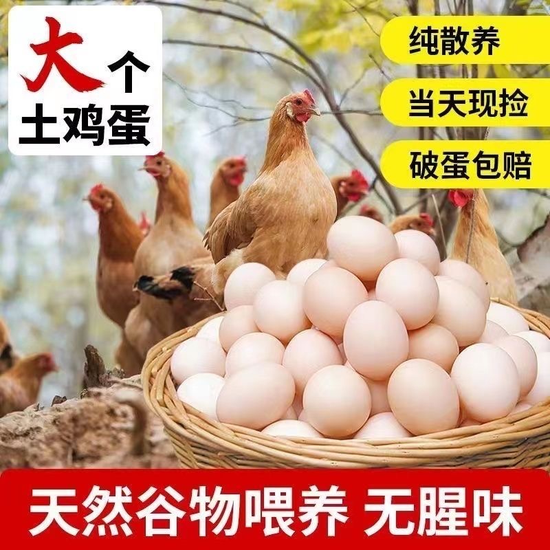 10枚雞蛋新鮮批發(fā)農(nóng)家正宗散養(yǎng)土雞蛋整箱柴雞蛋營養(yǎng)草雞蛋土雞蛋