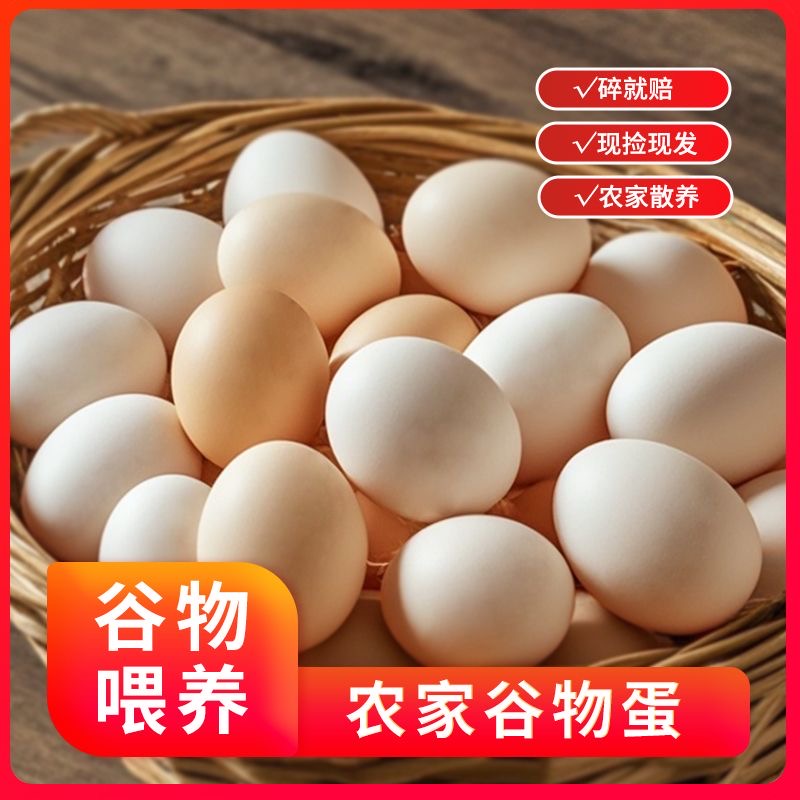 初生蛋正宗散养红壳小个新鲜初生鸡蛋高营养初生蛋当日现捡现发