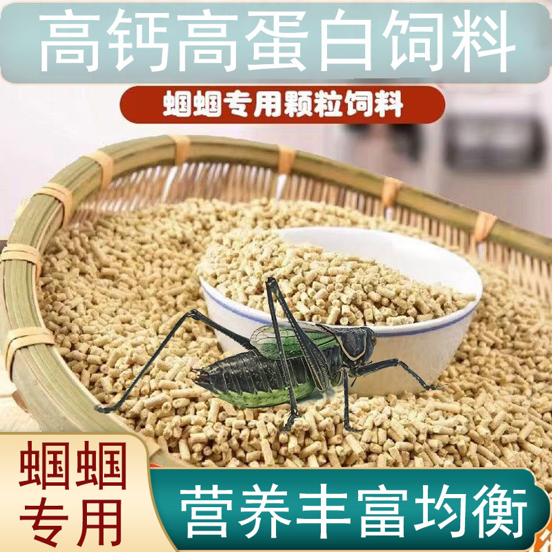成虫蝈蝈饲料鸣虫扎嘴专用食物补钙油蝈蝈叫虫粮食幼虫增强体质