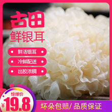 容媚子古田银耳新鲜银耳6朵白木耳莲子羹糯耳桃胶雪燕组合600g