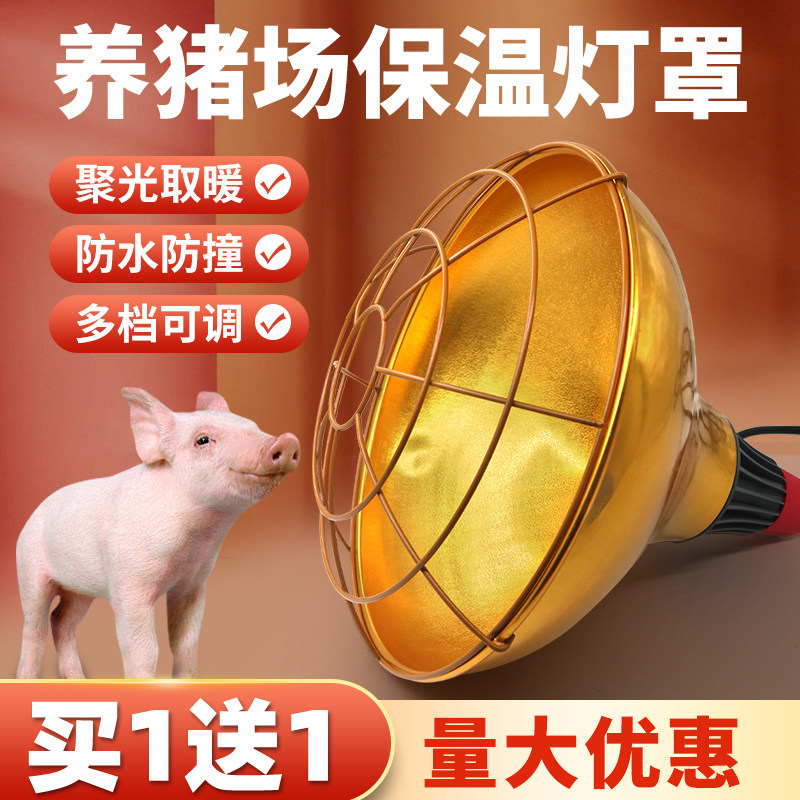 保温灯可调温度育雏小鸡苗仔猪用取暖加热灯泡养殖专用保温灯灯罩,畜牧/养殖物资,畜牧/养殖器械,淘宝优惠券,粉丝福利购,淘宝优惠卷