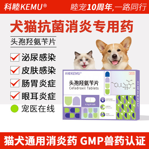 科睦头孢羟氨苄片宠物狗狗猫咪消炎药感冒咳嗽皮炎泌尿路感染药