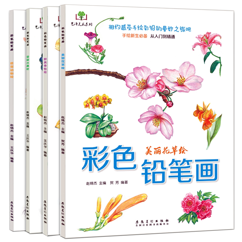 彩色铅笔画花草水果美食动物手绘画插画彩铅画入门教程素描绘画儿童成人画画美术画彩色铅笔画涂鸦铅笔画基础