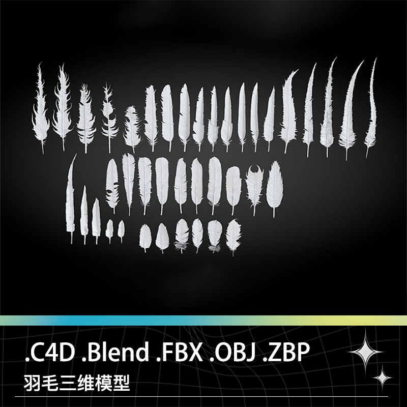 C4D FBX OBJ BLEND ZBP飞禽鸟类家禽羽毛羽绒三维3D打印模型