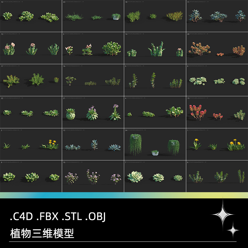 C4D黄花照波多肉植物FBX熊童子OBJ星乙女Maya爪玫瑰水晶掌月兔耳