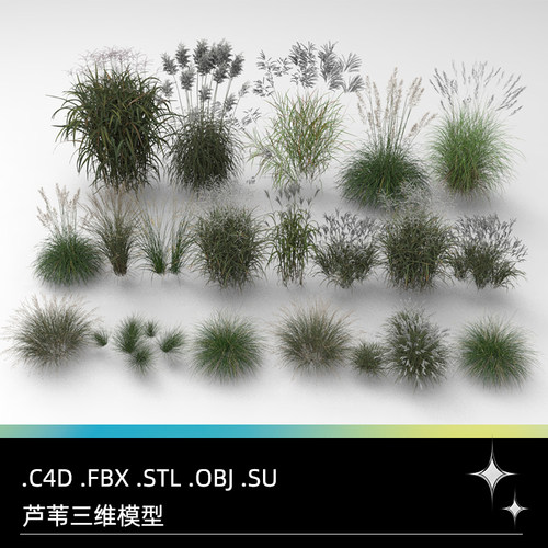 C4D FBX STL OBJ SU Blender芦苇蒲苇灌木草丛植物三维3D模型素材
