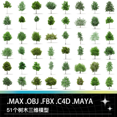 3DMAX MAYA C4D FBX OBJ树木桦树枫树枫香树山毛榉树行道树模型