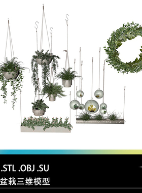 FBX STL OBJ SU盆景盆栽绿色植物吊篮三维模型素材文件
