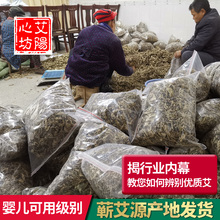 蕲艾干艾草艾叶泡脚包家用泡澡陈艾叶野生艾叶草产妇月子产后洗头