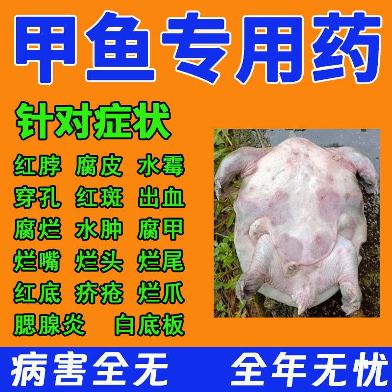 甲鱼专用药烂身药治老鳖王八腐皮穿孔烂甲红颈出血水产养殖专用药