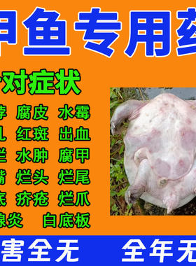 水产养殖甲鱼专用药消毒杀菌