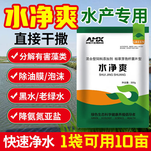 安牧兴芽孢杆菌净水针对老绿水