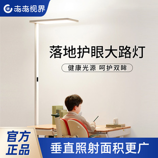 未来视界立式 护眼落地灯客厅卧室儿童作业学生学习小阳光大路灯