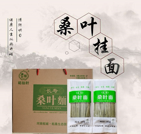 柘桑茶河南柘城特产新鲜蛋白食用桑叶面条低脂养生挂面2023