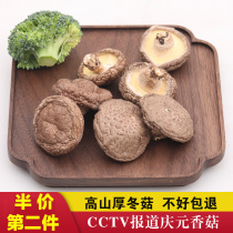 Qingyuan dried mushroom, gaoshanhoudonggu, 250g, local specialty log, new product of Xiangru, edible mushroom