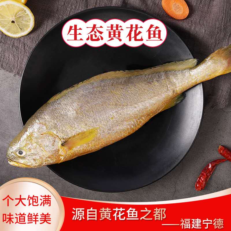 大黄花鱼新鲜冷冻原味