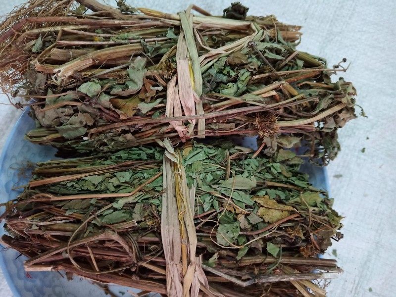 新货野生中药材 鬼针草 三叶鬼针草茶 一包针干品 500克包邮