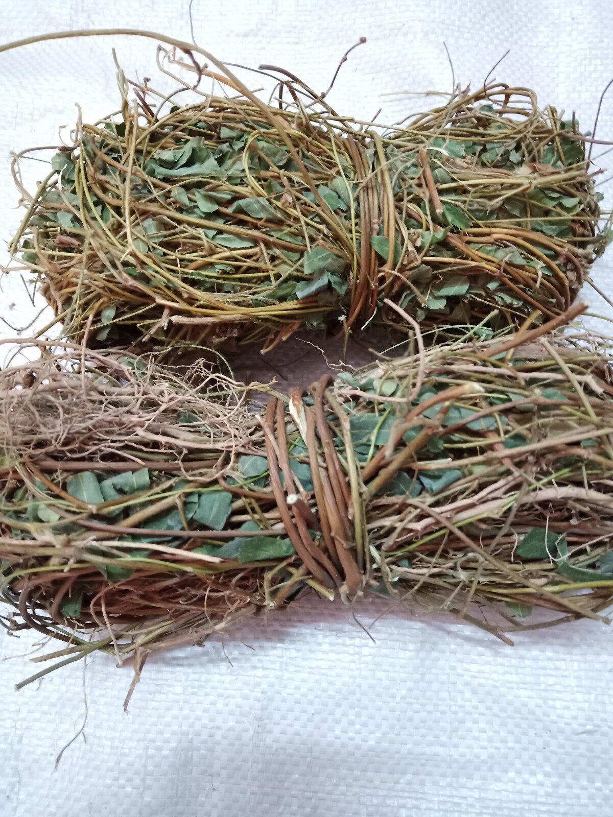 客家煲汤料(梅州)鸡骨草/黄头草/黄仔强/大黄草500克包邮