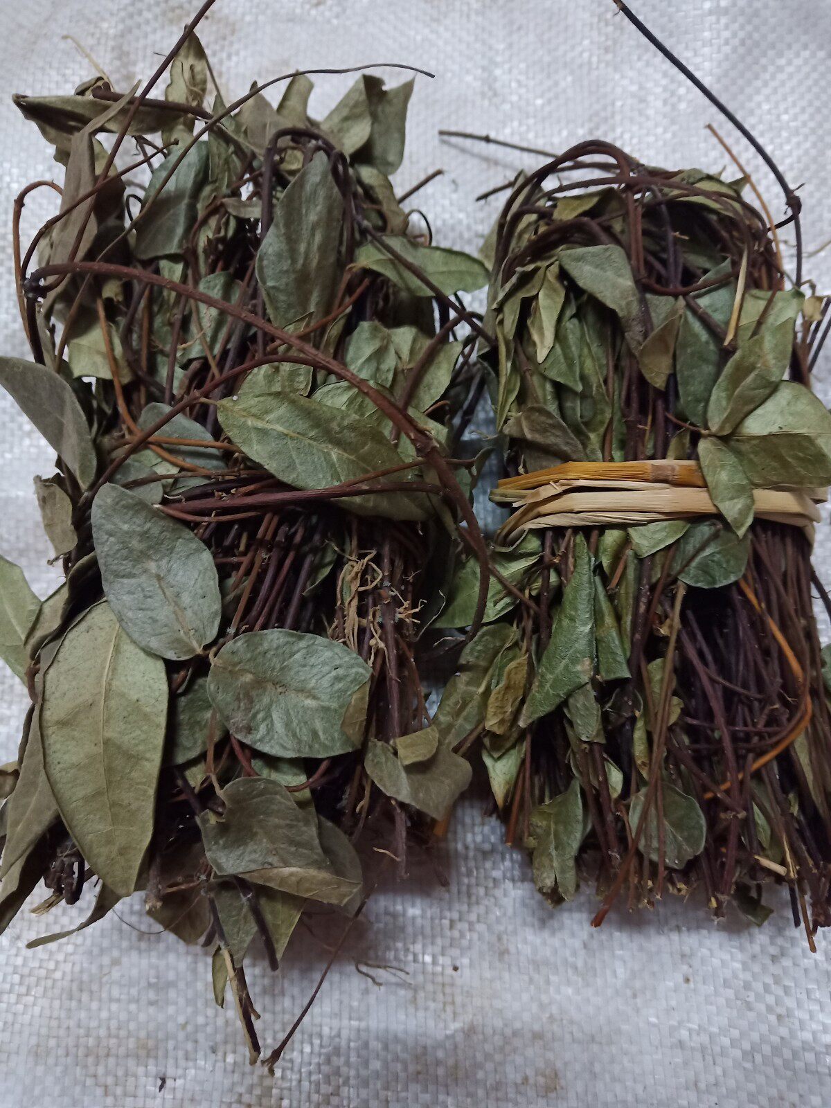 梅州山区野生中药材络石藤 春筋藤 石龙藤 爬山虎 爬墙虎500g包邮
